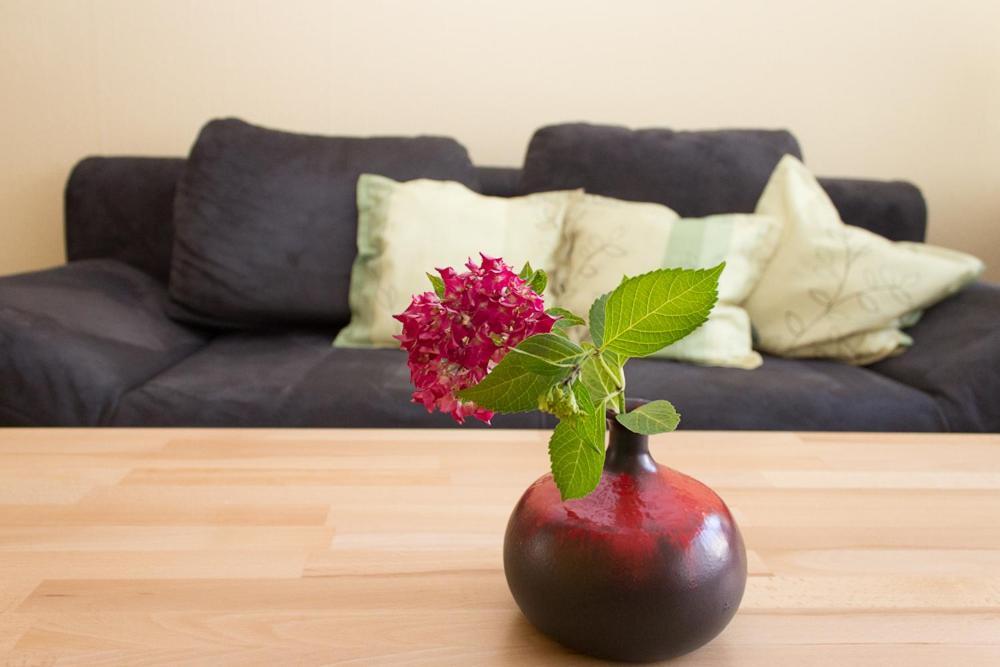 Anna Apartment